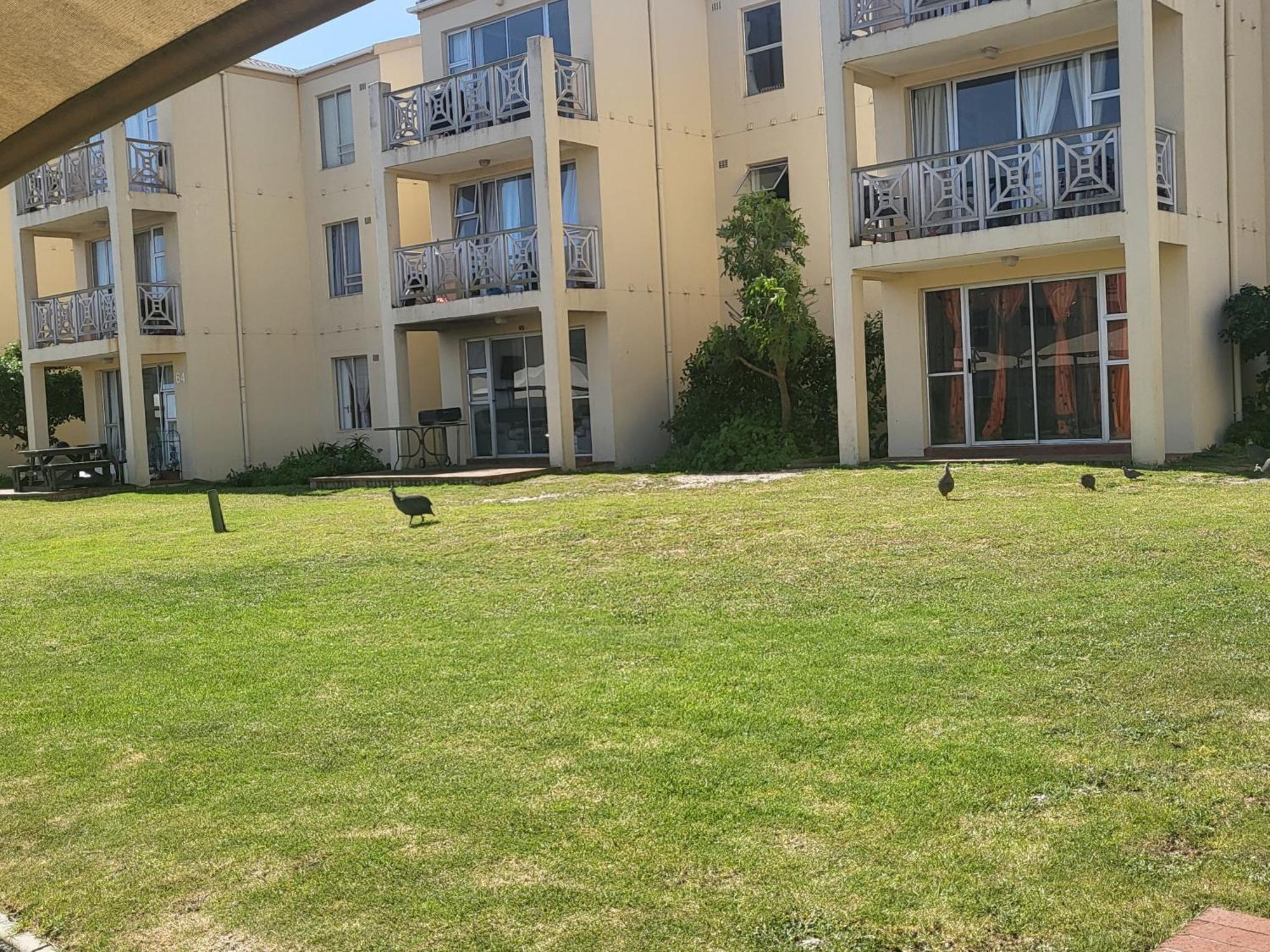 Hermanus Beach Club Room photo